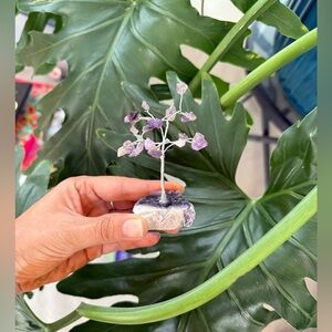 Amethyst Tree on Purple Fluorite Base